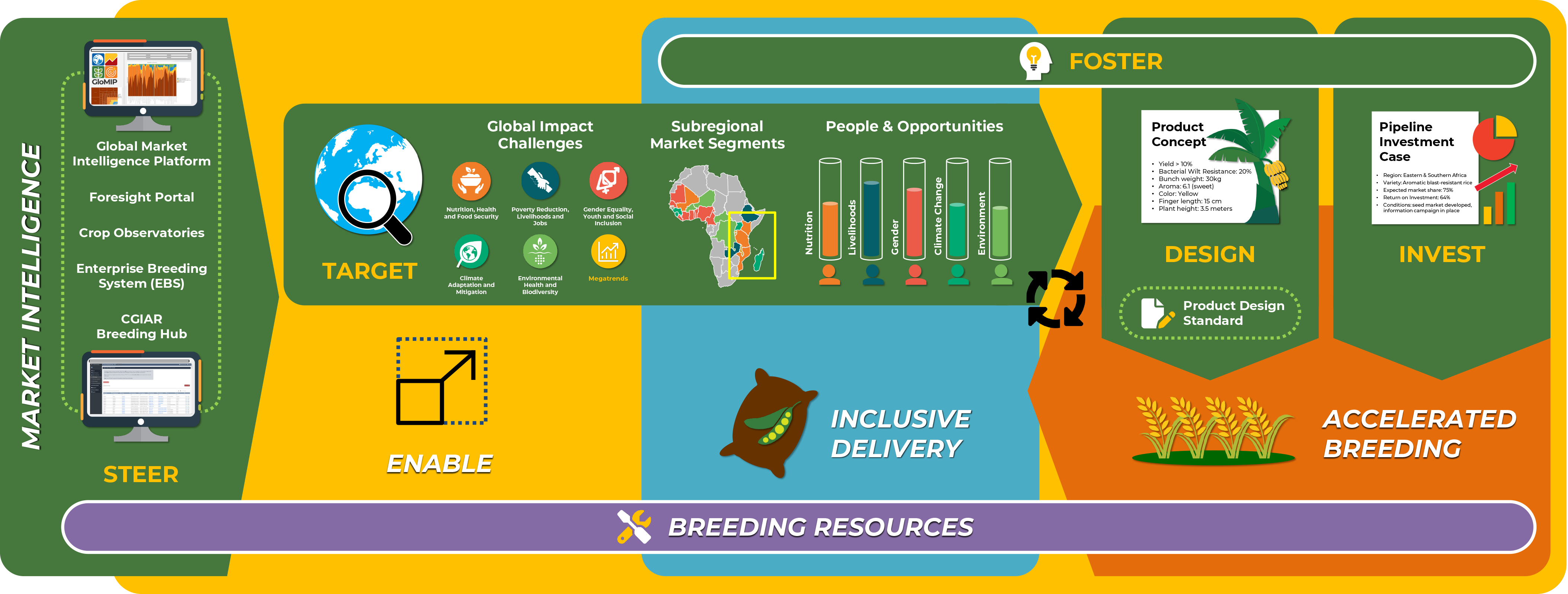 InteroperableSystem - Image 3 - MI pipeline | GloMIP